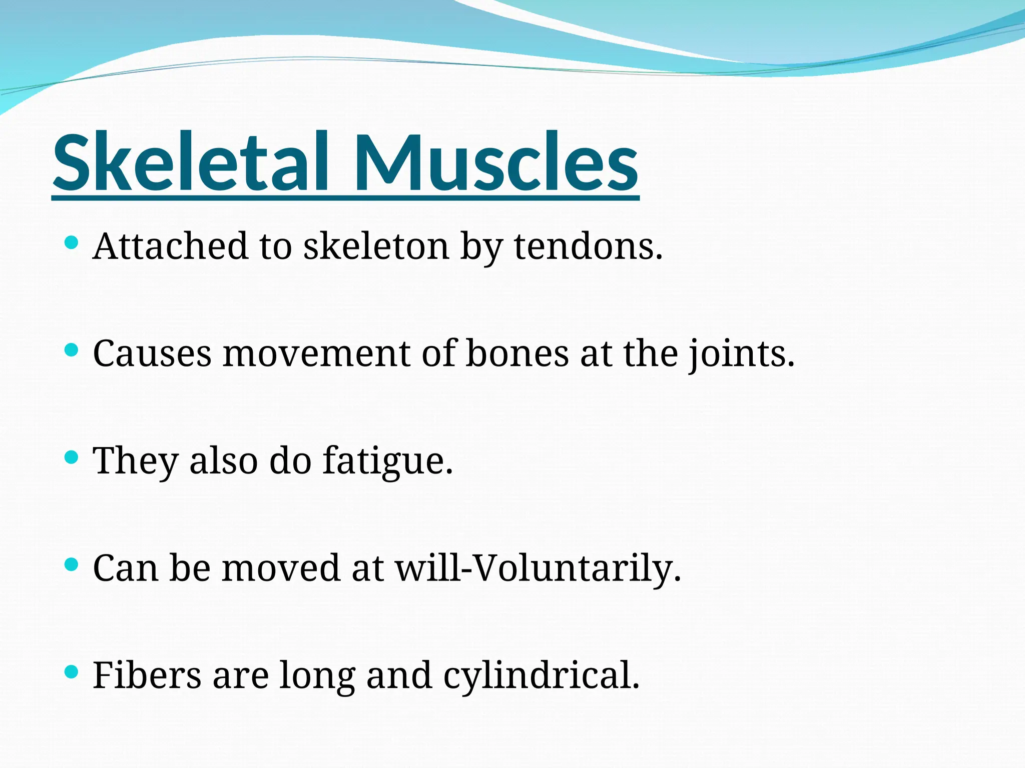 Skeletal Muscles
 Attached to skeleton by tendons.
 Causes movement of bones at the joints.
 They also do fatigue.
 Can be moved at will-Voluntarily.
 Fibers are long and cylindrical.
 