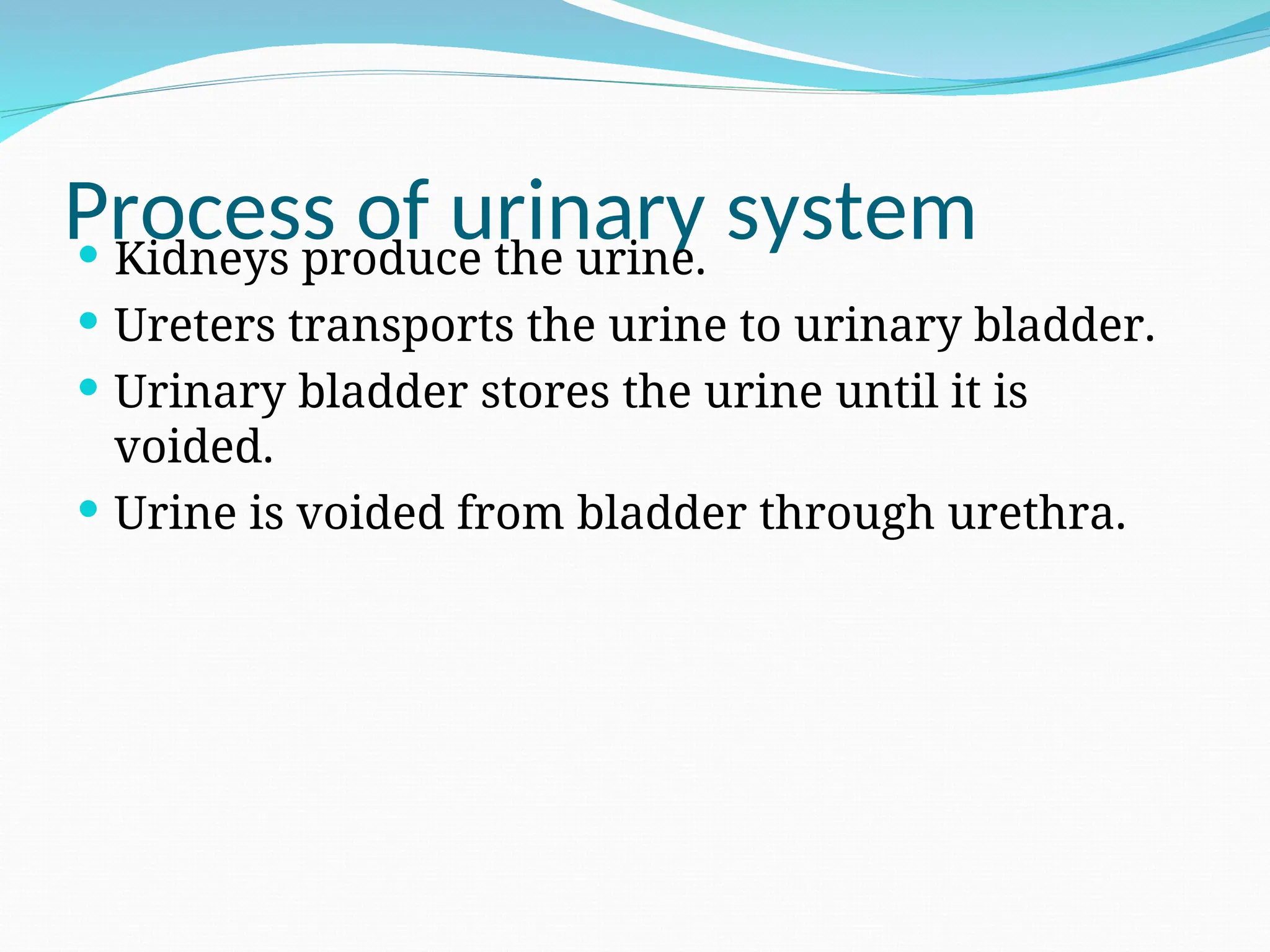 Process of urinary system
 Kidneys produce the urine.
 Ureters transports the urine to urinary bladder.
 Urinary bladder stores the urine until it is
voided.
 Urine is voided from bladder through urethra.
 