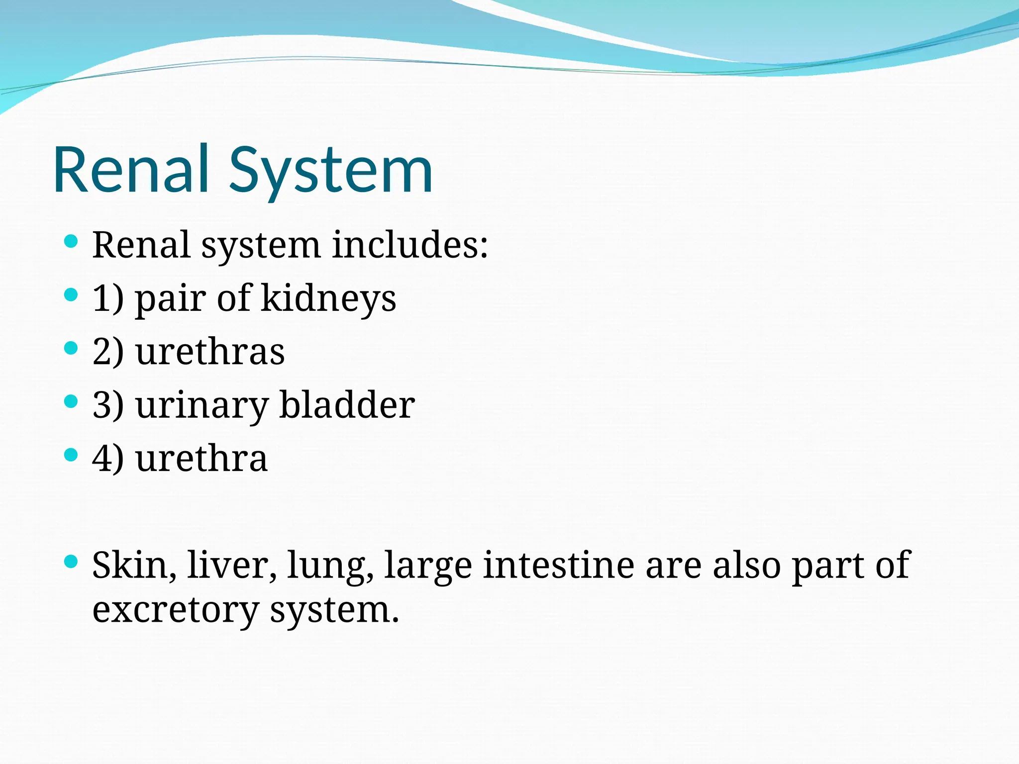 Renal System
 Renal system includes:
 1) pair of kidneys
 2) urethras
 3) urinary bladder
 4) urethra
 Skin, liver, lung, large intestine are also part of
excretory system.
 