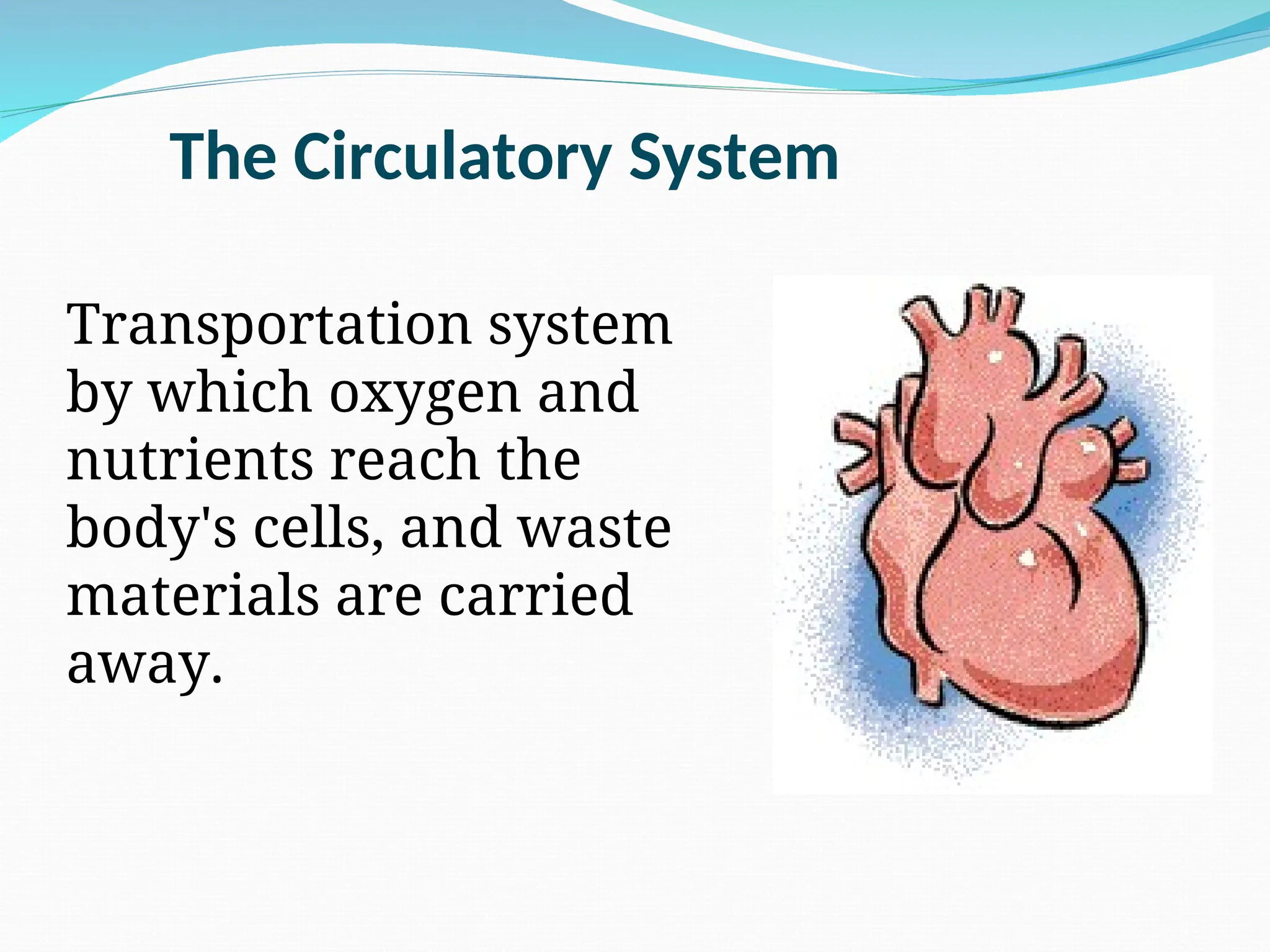 The Circulatory System
Transportation system
by which oxygen and
nutrients reach the
body's cells, and waste
materials are carried
away.
 
