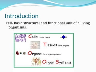 Introduction
Cell- Basic structural and functional unit of a living
organisms.
 