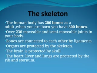 •The human body has 206 bones as a
adult ,when you are born you have 300 bones.
•Over 230 moveable and semi-moveable joints in
your body.
•Bones are connected to each other by ligaments.
•Organs are protected by the skeleton.
•The brain is protected by skull
•The heart, liver and lungs are protected by the
rib and sternum.
 