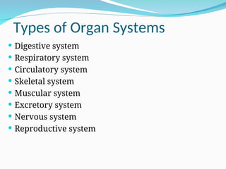 Types of Organ Systems
 Digestive system
 Respiratory system
 Circulatory system
 Skeletal system
 Muscular system
 Excretory system
 Nervous system
 Reproductive system
 
