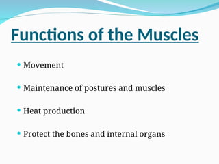Functions of the Muscles
 Movement
 Maintenance of postures and muscles
 Heat production
 Protect the bones and internal organs
 