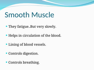 Smooth Muscle
 They fatigue..But very slowly.
 Helps in circulation of the blood.
 Lining of blood vessels.
 Controls digestion.
 Controls breathing.
 