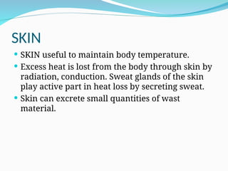 SKIN
 SKIN useful to maintain body temperature.
 Excess heat is lost from the body through skin by
radiation, conduction. Sweat glands of the skin
play active part in heat loss by secreting sweat.
 Skin can excrete small quantities of wast
material.
 
