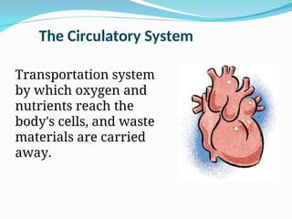 The Circulatory System
Transportation system
by which oxygen and
nutrients reach the
body's cells, and waste
materials are carried
away.
 