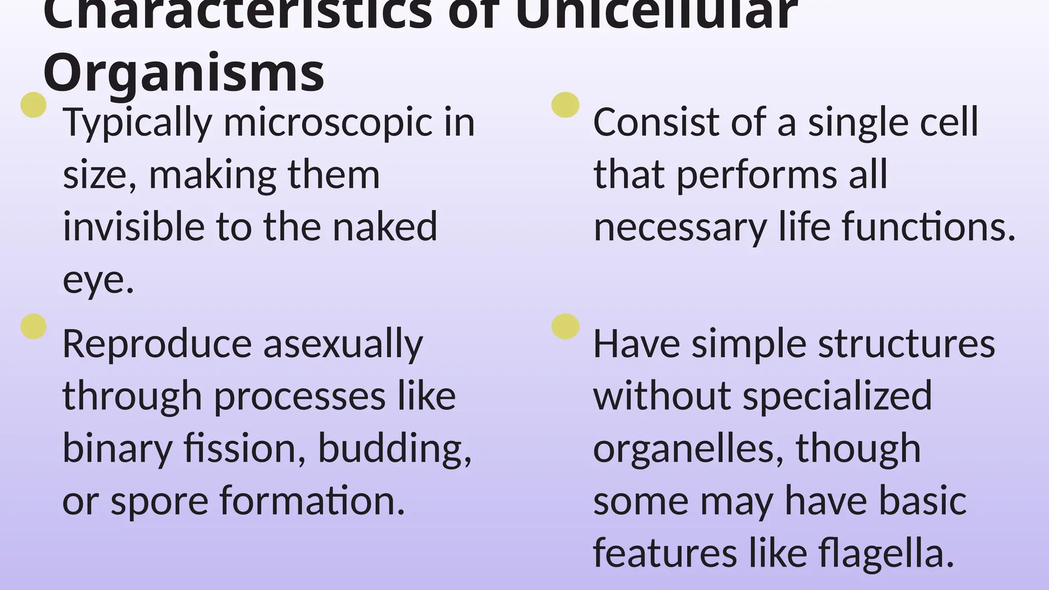 Reproduce asexually
through processes like
binary fission, budding,
or spore formation.
Consist of a single cell
that performs all
necessary life functions.
Characteristics of Unicellular
Organisms
Typically microscopic in
size, making them
invisible to the naked
eye.
Have simple structures
without specialized
organelles, though
some may have basic
features like flagella.
 