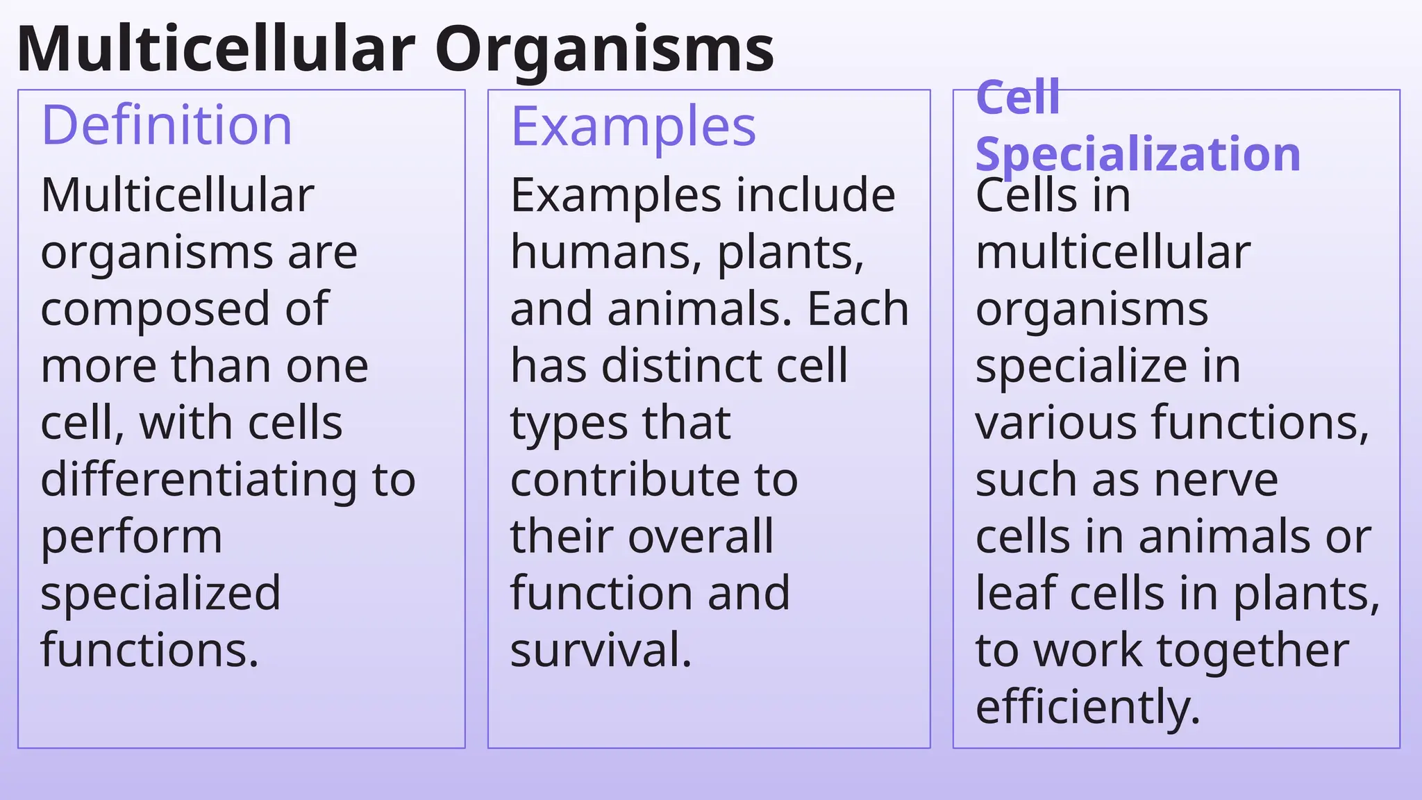 Cell
Specialization
Multicellular
organisms are
composed of
more than one
cell, with cells
differentiating to
perform
specialized
functions.
Definition Examples
Multicellular Organisms
Examples include
humans, plants,
and animals. Each
has distinct cell
types that
contribute to
their overall
function and
survival.
Cells in
multicellular
organisms
specialize in
various functions,
such as nerve
cells in animals or
leaf cells in plants,
to work together
efficiently.
 