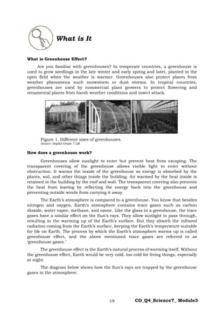 19 CO_Q4_Science7_ Module3
What is Greenhouse Effect?
Are you familiar with greenhouses? In temperate countries, a greenhouse is
used to grow seedlings in the late winter and early spring and later, planted in the
open field when the weather is warmer. Greenhouses also protect plants from
weather phenomena such snowstorm or dust storms. In tropical countries,
greenhouses are used by commercial plant growers to protect flowering and
ornamental plants from harsh weather conditions and insect attack.
Figure 1. Different sizes of greenhouses.
Source: DepEd Grade 7 LM
How does a greenhouse work?
Greenhouses allow sunlight to enter but prevent heat from escaping. The
transparent covering of the greenhouse allows visible light to enter without
obstruction. It warms the inside of the greenhouse as energy is absorbed by the
plants, soil, and other things inside the building. Air warmed by the heat inside is
retained in the building by the roof and wall. The transparent covering also prevents
the heat from leaving by reflecting the energy back into the greenhouse and
preventing outside winds from carrying it away.
The Earth’s atmosphere is compared to a greenhouse. You know that besides
nitrogen and oxygen, Earth’s atmosphere contains trace gases such as carbon
dioxide, water vapor, methane, and ozone. Like the glass in a greenhouse, the trace
gases have a similar effect on the Sun’s rays. They allow sunlight to pass through,
resulting in the warming up of the Earth’s surface. But they absorb the infrared
radiation coming from the Earth’s surface, keeping the Earth’s temperature suitable
for life on Earth. The process by which the Earth’s atmosphere warms up is called
greenhouse effect, and the above mentioned trace gases are referred to as
‘greenhouse gases.’
The greenhouse effect is the Earth’s natural process of warming itself. Without
the greenhouse effect, Earth would be very cold, too cold for living things, especially
at night.
The diagram below shows how the Sun’s rays are trapped by the greenhouse
gases in the atmosphere.
What is It
 
