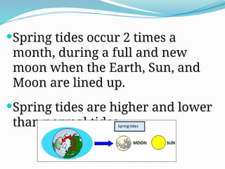 Spring Tide Fun Facts Sci8-Q3-W29-Tides_Science 8 Matatag.pptx