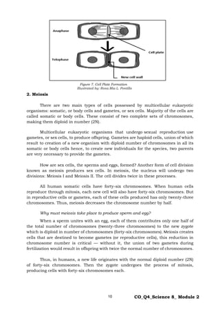 Grade 8 Science Module 2 Quarter 4 Cellular Reproduction | PDF