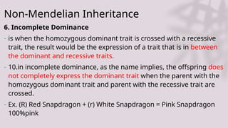 Non-Mendelian Inheritance
6. Incomplete Dominance
- is when the homozygous dominant trait is crossed with a recessive
trait, the result would be the expression of a trait that is in between
the dominant and recessive traits.
- 10.in incomplete dominance, as the name implies, the offspring does
not completely express the dominant trait when the parent with the
homozygous dominant trait and parent with the recessive trait are
crossed.
- Ex. (R) Red Snapdragon + (r) White Snapdragon = Pink Snapdragon
100%pink
 
