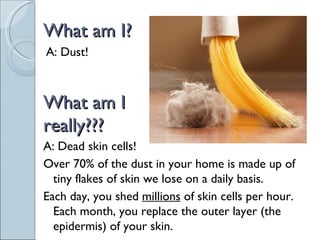Sci 9 Lesson 1 Feb 21 - Ch 5.1 The Cell Cycle | PPT