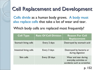 Sci 9 Lesson 1 Feb 21 - Ch 5.1 The Cell Cycle | PPT