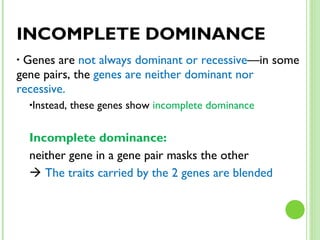 INCOMPLETE DOMINANCE Genes are  not always dominant or recessive —in some gene pairs, the  genes are neither dominant nor recessive. Instead, these genes show  incomplete dominance Incomplete dominance:  neither gene in a gene pair masks the other    The traits carried by the 2 genes are blended 