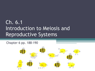 Ch. 6.1  Introduction to Meiosis and  Reproductive Systems Chapter 6 pp. 188-190 