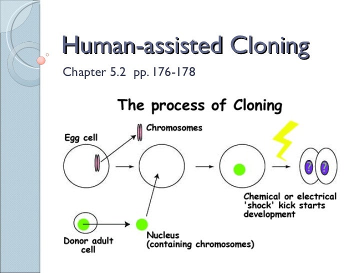 Sci 9 Lesson 4 Mar 4 Ch 5.2 Cloning