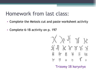 Homework from last class: ,[object Object],[object Object],Trisomy 18 karyotye 