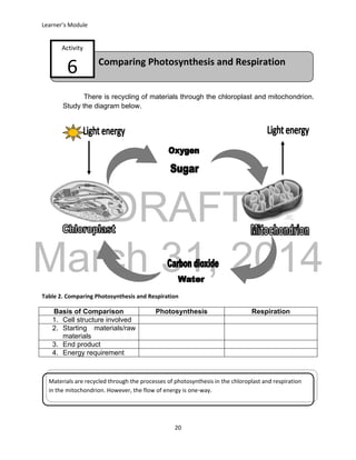 DRAFT
March 31, 2014
Learner’s Module
20
Comparing Photosynthesis and Respiration
Activity
6
There is recycling of materials through the chloroplast and mitochondrion.
Study the diagram below.
Table 2. Comparing Photosynthesis and Respiration
Basis of Comparison Photosynthesis Respiration
1. Cell structure involved
2. Starting materials/raw
materials
3. End product
4. Energy requirement
Materials are recycled through the processes of photosynthesis in the chloroplast and respiration
in the mitochondrion. However, the flow of energy is one-way.
 