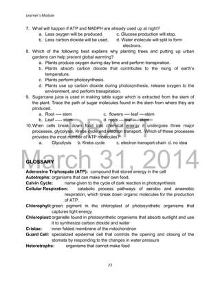 DRAFT
March 31, 2014
Learner’s Module
23
7. What will happen if ATP and NADPH are already used up at night?
a. Less oxygen will be produced. c. Glucose production will stop.
b. Less carbon dioxide will be used. d. Water molecule will split to form
electrons.
8. Which of the following best explains why planting trees and putting up urban
gardens can help prevent global warming?
a. Plants produce oxygen during day time and perform transpiration.
b. Plants absorb carbon dioxide that contributes to the rising of earth’s
temperature.
c. Plants perform photosynthesis.
d. Plants use up carbon dioxide during photosynthesis, release oxygen to the
environment, and perform transpiration.
9. Sugarcane juice is used in making table sugar which is extracted from the stem of
the plant. Trace the path of sugar molecules found in the stem from where they are
produced.
a. Root ---- stem c. flowers ---- leaf ----stem
b. Leaf ----- stem d. roots --- leaf ---- stem
10.When cells break down food into chemical energy it undergoes three major
processes, glycolysis, Krebs cycle and electron transport. Which of these processes
provides the most number of ATP molecules?
a. Glycolysis b. Krebs cycle c. electron transport chain d. no idea
GLOSSARY
Adenosine Triphospate (ATP): compound that stores energy in the cell
Autotrophs: organisms that can make their own food.
Calvin Cycle: name given to the cycle of dark reaction in photosynthesis
Cellular Respiration: catabolic process pathways of aerobic and anaerobic
respiration, which break down organic molecules for the production
of ATP.
Chlorophyll:green pigment in the chloroplast of photosynthetic organisms that
captures light energy
Chloroplast:organelle found in photosynthetic organisms that absorb sunlight and use
it to synthesize carbon dioxide and water
Cristae: inner folded membrane of the mitochondrion
Guard Cell: specialized epidermal cell that controls the opening and closing of the
stomata by responding to the changes in water pressure
Heterotrophs: organisms that cannot make food
 