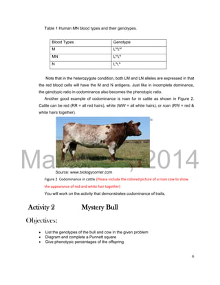 DRAFT
March 31, 2014
6
Table 1 Human MN blood types and their genotypes.
Blood Types Genotype
M LM
LM
MN LM
LN
N LN
LN
Note that in the heterozygote condition, both LM and LN alleles are expressed in that
the red blood cells will have the M and N antigens. Just like in incomplete dominance,
the genotypic ratio in codominance also becomes the phenotypic ratio.
Another good example of codominance is roan fur in cattle as shown in Figure 2.
Cattle can be red (RR = all red hairs), white (WW = all white hairs), or roan (RW = red &
white hairs together).
Source: www.biologycorner.com
Figure 2 Codominance in cattle (Please include the colored picture of a roan cow to show
the appearance of red and white hair together)
You will work on the activity that demonstrates codominance of traits.
Activity 2 Mystery Bull
Objectives:
 List the genotypes of the bull and cow in the given problem
 Diagram and complete a Punnett square
 Give phenotypic percentages of the offspring
 