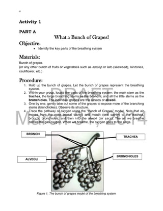 DRAFT
March 31, 2014
4
Activity 1
PART A
What a Bunch of Grapes!
Objective:
 Identify the key parts of the breathing system
Materials:
Bunch of grapes
(or any other bunch of fruits or vegetables such as arosep or lato (seaweed), lanzones,
cauliflower, etc.)
Procedure:
1. Hold up the bunch of grapes. Let the bunch of grapes represent the breathing
system.
2. Within your group, locate the parts of the breathing system: the main stem as the
trachea, the large branching stems as the bronchi, and all the little stems as the
bronchioles. The individual grapes are the airsacs or alveoli.
3. One by one, gently take out some of the grapes to expose more of the branching
stems (bronchioles). Observe its structure.
4. Trace the pathway of oxygen using the “Bunch of Grapes” model. Note that air
moves from the nose (nasal cavity) and mouth (oral cavity) to the trachea,
bronchi, bronchioles, and then into the alveoli (air sacs). The air we breathe
carries the gas oxygen. When we breathe, the oxygen goes to the lungs.
Figure 1. The bunch of grapes model of the breathing system
TRACHEA
BRONCHI
BRONCHIOLES
ALVEOLI
 