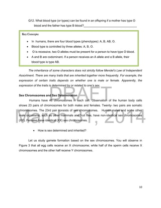 DRAFT
March 31, 2014
10
Q12. What blood type (or types) can be found in an offspring if a mother has type O
blood and the father has type B blood?_________________________________
The inheritance of some characters does not strictly follow Mendel’s Law of Independent
Assortment. There are many traits that are inherited together more frequently. For example, the
expression of certain traits depends on whether one is male or female. Apparently, the
expression of the traits is determined by or related to one’s sex.
Sex Chromosomes and Sex Determination
Humans have 46 chromosomes in each cell. Observation of the human body cells
shows 23 pairs of chromosomes for both males and females. Twenty- two pairs are somatic
chromosomes. The 23rd pair consists of sex chromosomes. Human males and some other
male organisms, such as other mammals and fruit flies, have non-identical sex chromosomes
(XY). Females have identical (XX) sex chromosomes.
 How is sex determined and inherited?
Let us study gamete formation based on the sex chromosomes. You will observe in
Figure 3 that all egg cells receive an X chromosome; while half of the sperm cells receive X
chromosomes and the other half receive Y chromosomes.
Key Concepts:
 In humans, there are four blood types (phenotypes): A, B, AB, O.
 Blood type is controlled by three alleles: A, B, O.
 O is recessive, two O alleles must be present for a person to have type O blood.
 A and B are codominant. If a person receives an A allele and a B allele, their
blood type is type AB.
 