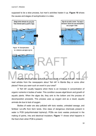 DRAFT
March 31, 2014
Learner’s Module
18
supposed to be a slow process, but man’s activities hasten it up. Figure 10 shows
the causes and stages of eutrophication in a lake.
Another effect of water pollution is mass death of fish, or ‘fish kill’. Have you
read articles from the newspapers about ‘fish kill’ in Manila Bay or some other
places? Have you seen such an event in your area?
A ‘fish kill’ usually happens when there is an increase in concentration of
organic nutrients in bodies of water. This condition causes algal bloom and growth of
aquatic plants. When the algae die, they sink to the bottom and the process of
decomposition proceeds. This process uses up oxygen and as a result, aquatic
animals die due to lack of oxygen.
Bodies of water are also polluted with toxic wastes, untreated sewage, and
fertilizer run-offs from farm lands. One class of dangerous chemicals present in
water is PCB (polychlorinated biphenyl). PCBs are toxic wastes produced in the
making of paints, inks and electrical insulators. Figure 11 shows what happens in
the food chain when PCB is present.
Figure 10 Eutrophication
 