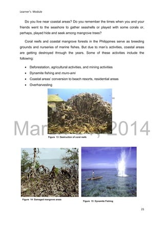 DRAFT
March 31, 2014
Learner’s Module
21
Do you live near coastal areas? Do you remember the times when you and your
friends went to the seashore to gather seashells or played with some corals or,
perhaps, played hide and seek among mangrove trees?
Coral reefs and coastal mangrove forests in the Philippines serve as breeding
grounds and nurseries of marine fishes. But due to man’s activities, coastal areas
are getting destroyed through the years. Some of these activities include the
following:
 Deforestation, agricultural activities, and mining activities
 Dynamite fishing and muro-ami
 Coastal areas’ conversion to beach resorts, residential areas
 Overharvesting
Figure 13 Destruction of coral reefs
Figure 14 Damaged mangrove areas
Figure 15 Dynamite Fishing
 