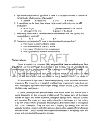 DRAFT
March 31, 2014
Learner’s Module
3
7. Pyruvate is the product of glycolysis. If there is no oxygen available to cells of the
human body, what becomes of pyruvate?
a. alcohol b. lactic acid c. CO2 d. a and c
8. If you did not eat for three days, where did your cell get the glucose for ATP
production?
a. blood sugar c. glycogen present in the muscle
b. glycogen in the liver d. protein in the blood
9. How many molecule/s of carbon dioxide is/are released from one pyruvic acid
molecule being oxidized?
a. 1 b. 3 c. 2 d. 4
10.During the synthesis of ATP, what is the direction of hydrogen flow?
a. from matrix to intermembrane space
b. from intermembrane space to matrix
c. from matrix of mitochondrion to cytoplasm
d. from cytoplasm to matrix of mitochondrion
Photosynthesis
Plants are great food providers. Why do you think they are called great food
providers? As you go through the activities in this module, you will understand how
plants provide food and help to make the flow of energy in the ecosystem possible.
You will understand how each plant structure helps in the process of food
making, as well as the factors that may affect the rate of food production done by plants.
Photosynthesis is a process of food making done by plants and other autotrophic
organisms. The presence of chlorophyll enables these organisms to make their own
food. Autotrophic organisms require light energy, carbon dioxide (CO2), and water
(H2O) to make food (sugar).
In plants, photosynthesis primarily takes place in the leaves and little or none in
stems depending on the presence of chlorophyll. The typical parts of the leaves
include the upper and lower epidermis, mesophyll spongy layer, vascular bundles,
and stomates. The upper and lower epidermis protects the leaves and has nothing
to do with photosynthetic processes. Mesophyll has the most number of chloroplasts
that contain chlorophyll. They are important in trapping light energy from the sun.
Vascular bundles - phloem and xylem serve as transporting vessels of manufactured
food and water. Carbon dioxide and oxygen were collected in the spongy layer and
enters and exits the leaf through the stomata.
 