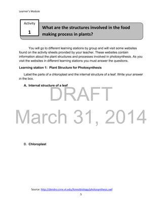 DRAFT
March 31, 2014
Learner’s Module
5
What are the structures involved in the food
making process in plants?
Activity
1
You will go to different learning stations by group and will visit some websites
found on the activity sheets provided by your teacher. These websites contain
information about the plant structures and processes involved in photosynthesis. As you
visit the websites in different learning stations you must answer the questions.
Learning station 1: Plant Structure for Photosynthesis
Label the parts of a chloroplast and the internal structure of a leaf. Write your answer
in the box.
A. Internal structure of a leaf
B. Chloroplast
Source: http://dendro.cnre.vt.edu/forestbiology/photosynthesis.swf
 