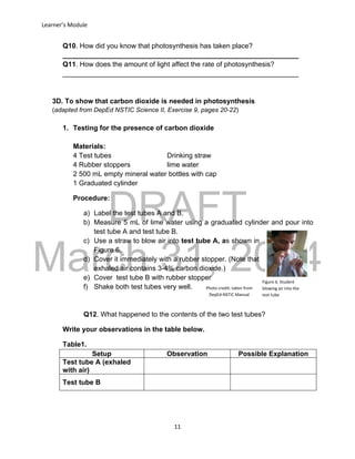 DRAFT
March 31, 2014
Learner’s Module
11
Q10. How did you know that photosynthesis has taken place?
_____________________________________________________________
Q11. How does the amount of light affect the rate of photosynthesis?
_____________________________________________________________
3D. To show that carbon dioxide is needed in photosynthesis
(adapted from DepEd NSTIC Science II, Exercise 9, pages 20-22)
1. Testing for the presence of carbon dioxide
Materials:
4 Test tubes Drinking straw
4 Rubber stoppers lime water
2 500 mL empty mineral water bottles with cap
1 Graduated cylinder
Procedure:
a) Label the test tubes A and B.
b) Measure 5 mL of lime water using a graduated cylinder and pour into
test tube A and test tube B.
c) Use a straw to blow air into test tube A, as shown in
Figure 6.
d) Cover it immediately with a rubber stopper. (Note that
exhaled air contains 3-4% carbon dioxide.)
e) Cover test tube B with rubber stopper
f) Shake both test tubes very well.
Q12. What happened to the contents of the two test tubes?
Write your observations in the table below.
Table1.
Setup Observation Possible Explanation
Test tube A (exhaled
with air)
Test tube B
Figure 6. Student
blowing air into the
test tube
Photo credit: taken from
DepEd-NSTIC Manual
 