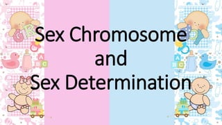 Sex Chromosome
and
Sex Determination
 