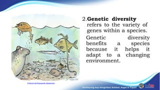 advantage of high biodiversity - science subject module for (grade 8 ...