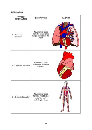 11
CIRCULATION
TYPE OF
CIRCULATION
DESCRIPTION DIAGRAM
1. Pulmonary
Circulation
Movement of blood
from the heart, to the
lungs, and back to the
heart
2. Coronary Circulation
Movement of blood
through the tissues of
the heart
3. Systemic Circulation
Movement of blood
from the heart to the
rest of the body,
excluding the lungs
 