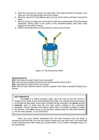 15
5. Stick the long part of a straw into each hole. The straws should fit securely in the
holes so no air can get through around the straws.
6. Slide the uncut end of the balloon neck onto one of the straws and tape it around the
straw.
7. Set your pump in a large pan or the sink to catch the pumped water. Bend the straws
downward. Gently press in the center of the stretched balloon and watch what
happens to the water in the jar.
8. Refer to the photo below to know what your setup must look like.
Guide Questions:
Q16. What does the water inside the jar represent?
Q17. How will you compare the heart pump model and the human heart?
Q18. How does the heart function as a pump?
Q19. Will the heart model be able to function properly if the straw is blocked? Explain your
answer.
Since you have already understood how the heart functions and how blood is
pumped all over the body, you are now ready to check your own heart rate. Your heart beat
is the sound that your heart makes as it pumps blood. Let us further investigate about it in
the next activity.
KEY CONCEPTS
The heart is a hollow muscular organ, about the size of your fist, which is
located in the center of your chest between the lungs. It is a double pump that pumps
on the left and right sides. Every side is divided into two chambers, the atrium and the
ventricle, each of which has left and right portion, totaling to four chambers
altogether. The top chamber is the atrium (plural: atria). The bottom chamber is called
the ventricle. The valve acts as a one-way door, allowing blood to flow either forward
into the next chamber, or out of the heart.
Figure 10. The heart pump model
 