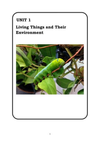 1
UNIT 1
Living Things and Their
Environment
 