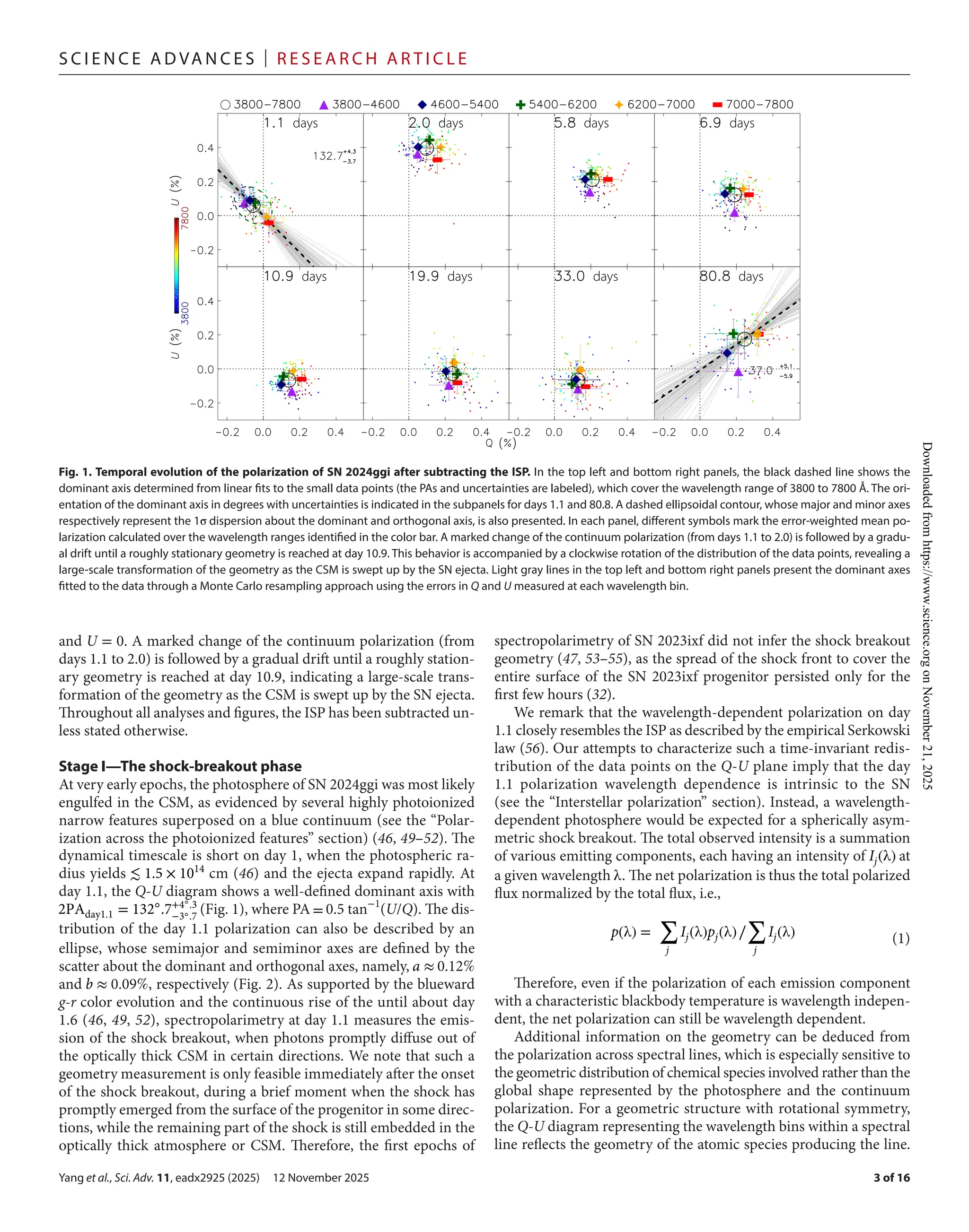 Yang et al., Sci. Adv. 11, eadx2925 (2025) 12 November 2025
S c i e n c e A d van c e s | R e s e ar c h A r t i c l e
3 of 16
and U = 0. A marked change of the continuum polarization (from
days 1.1 to 2.0) is followed by a gradual drift until a roughly station-
ary geometry is reached at day 10.9, indicating a large-­
scale trans-
formation of the geometry as the CSM is swept up by the SN ejecta.
Throughout all analyses and figures, the ISP has been subtracted un-
less stated otherwise.
Stage I—The shock-­
breakout phase
At very early epochs, the photosphere of SN 2024ggi was most likely
engulfed in the CSM, as evidenced by several highly photoionized
narrow features superposed on a blue continuum (see the “Polar-
ization across the photoionized features” section) (46, 49–52). The
dynamical timescale is short on day 1, when the photospheric ra-
dius yields ≲ 1.5 × 1014
cm (46) and the ejecta expand rapidly. At
day 1.1, the Q-­U diagram shows a well-­
defined dominant axis with
2PAday1.1 = 132◦
.7+4◦.3
−3◦.7
(Fig. 1), where PA = 0.5 tan−1
(U/Q). The dis-
tribution of the day 1.1 polarization can also be described by an
ellipse, whose semimajor and semiminor axes are defined by the
scatter about the dominant and orthogonal axes, namely, a ≈ 0.12%
and b ≈ 0.09%, respectively (Fig. 2). As supported by the blueward
g-­r color evolution and the continuous rise of the until about day
1.6 (46, 49, 52), spectropolarimetry at day 1.1 measures the emis-
sion of the shock breakout, when photons promptly diffuse out of
the optically thick CSM in certain directions. We note that such a
geometry measurement is only feasible immediately after the onset
of the shock breakout, during a brief moment when the shock has
promptly emerged from the surface of the progenitor in some direc-
tions, while the remaining part of the shock is still embedded in the
optically thick atmosphere or CSM. Therefore, the first epochs of
spectropolarimetry of SN 2023ixf did not infer the shock breakout
geometry (47, 53–55), as the spread of the shock front to cover the
entire surface of the SN 2023ixf progenitor persisted only for the
first few hours (32).
We remark that the wavelength-­
dependent polarization on day
1.1 closely resembles the ISP as described by the empirical Serkowski
law (56). Our attempts to characterize such a time-­
invariant redis-
tribution of the data points on the Q-­U plane imply that the day
1.1 polarization wavelength dependence is intrinsic to the SN
(see the “Interstellar polarization” section). Instead, a wavelength-­
dependent photosphere would be expected for a spherically asym-
metric shock breakout. The total observed intensity is a summation
of various emitting components, each having an intensity of Ij(λ) at
a given wavelength λ. The net polarization is thus the total polarized
flux normalized by the total flux, i.e.,
Therefore, even if the polarization of each emission component
with a characteristic blackbody temperature is wavelength indepen-
dent, the net polarization can still be wavelength dependent.
Additional information on the geometry can be deduced from
the polarization across spectral lines, which is especially sensitive to
the geometric distribution of chemical species involved rather than the
global shape represented by the photosphere and the continuum
polarization. For a geometric structure with rotational symmetry,
the Q-­U diagram representing the wavelength bins within a spectral
line reflects the geometry of the atomic species producing the line.
p(λ) =
∑
j
Ij(λ)pj(λ)∕
∑
j
Ij(λ) (1)
Fig. 1. Temporal evolution of the polarization of SN 2024ggi after subtracting the ISP. In the top left and bottom right panels, the black dashed line shows the
dominant axis determined from linear fits to the small data points (the PAs and uncertainties are labeled), which cover the wavelength range of 3800 to 7800 Å. The ori-
entation of the dominant axis in degrees with uncertainties is indicated in the subpanels for days 1.1 and 80.8. A dashed ellipsoidal contour, whose major and minor axes
respectively represent the 1σ dispersion about the dominant and orthogonal axis, is also presented. In each panel, different symbols mark the error-­
weighted mean po-
larization calculated over the wavelength ranges identified in the color bar. A marked change of the continuum polarization (from days 1.1 to 2.0) is followed by a gradu-
al drift until a roughly stationary geometry is reached at day 10.9. This behavior is accompanied by a clockwise rotation of the distribution of the data points, revealing a
large-­
scale transformation of the geometry as the CSM is swept up by the SN ejecta. Light gray lines in the top left and bottom right panels present the dominant axes
fitted to the data through a Monte Carlo resampling approach using the errors in Q and U measured at each wavelength bin.
Downloaded
from
https://www.science.org
on
November
21,
2025
 