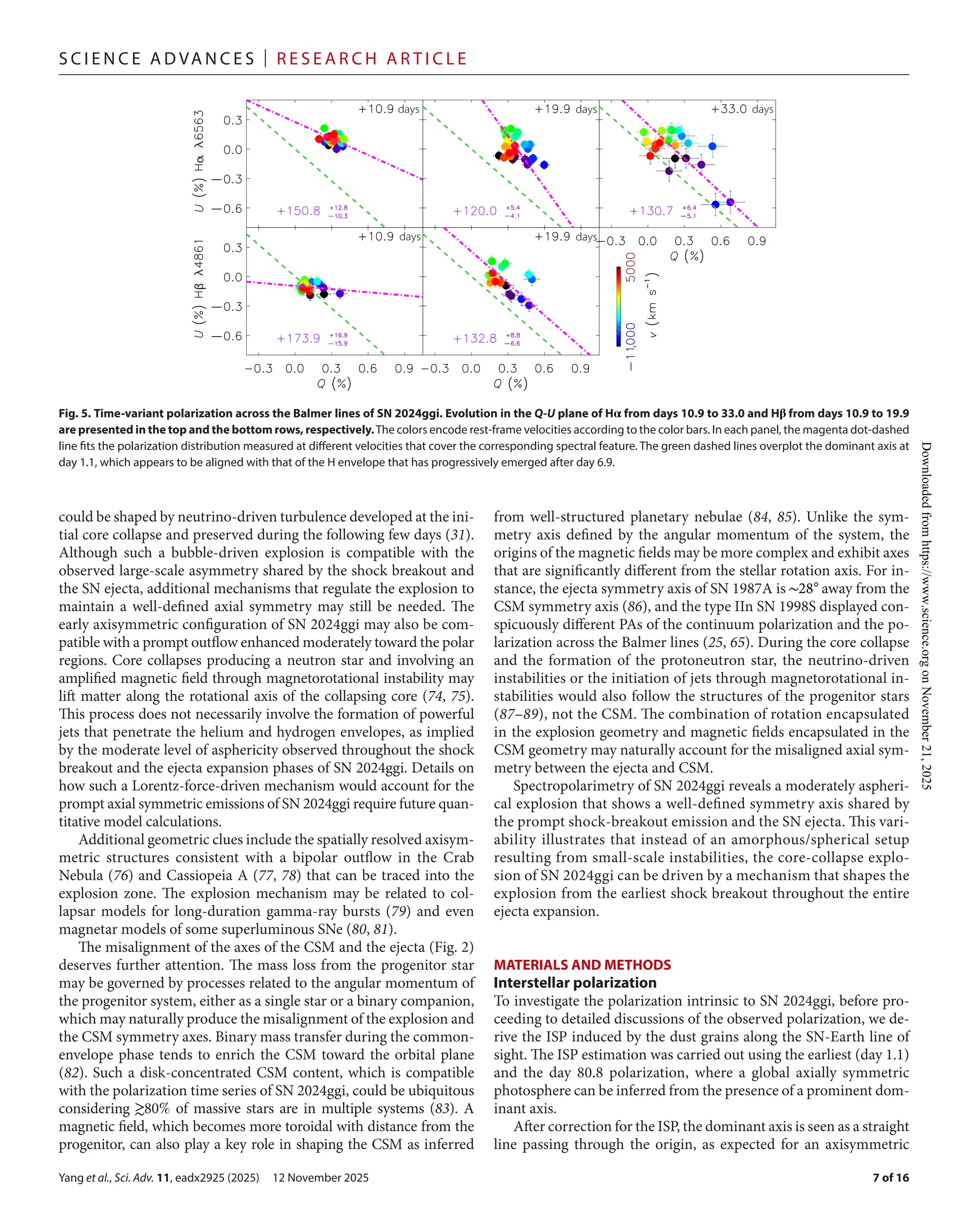 Yang et al., Sci. Adv. 11, eadx2925 (2025) 12 November 2025
S c i e n c e A d van c e s | R e s e ar c h A r t i c l e
7 of 16
could be shaped by neutrino-­driven turbulence developed at the ini-
tial core collapse and preserved during the following few days (31).
Although such a bubble-­
driven explosion is compatible with the
observed large-­
scale asymmetry shared by the shock breakout and
the SN ejecta, additional mechanisms that regulate the explosion to
maintain a well-­
defined axial symmetry may still be needed. The
early axisymmetric configuration of SN 2024ggi may also be com-
patible with a prompt outflow enhanced moderately toward the polar
regions. Core collapses producing a neutron star and involving an
amplified magnetic field through magnetorotational instability may
lift matter along the rotational axis of the collapsing core (74, 75).
This process does not necessarily involve the formation of powerful
jets that penetrate the helium and hydrogen envelopes, as implied
by the moderate level of asphericity observed throughout the shock
breakout and the ejecta expansion phases of SN 2024ggi. Details on
how such a Lorentz-­
force-­
driven mechanism would account for the
prompt axial symmetric emissions of SN 2024ggi require future quan-
titative model calculations.
Additional geometric clues include the spatially resolved axisym-
metric structures consistent with a bipolar outflow in the Crab
Nebula (76) and Cassiopeia A (77, 78) that can be traced into the
explosion zone. The explosion mechanism may be related to col-
lapsar models for long-­
duration gamma-­
ray bursts (79) and even
magnetar models of some superluminous SNe (80, 81).
The misalignment of the axes of the CSM and the ejecta (Fig. 2)
deserves further attention. The mass loss from the progenitor star
may be governed by processes related to the angular momentum of
the progenitor system, either as a single star or a binary companion,
which may naturally produce the misalignment of the explosion and
the CSM symmetry axes. Binary mass transfer during the common-­
envelope phase tends to enrich the CSM toward the orbital plane
(82). Such a disk-­
concentrated CSM content, which is compatible
with the polarization time series of SN 2024ggi, could be ubiquitous
considering ≳80% of massive stars are in multiple systems (83). A
magnetic field, which becomes more toroidal with distance from the
progenitor, can also play a key role in shaping the CSM as inferred
from well-­
structured planetary nebulae (84, 85). Unlike the sym-
metry axis defined by the angular momentum of the system, the
origins of the magnetic fields may be more complex and exhibit axes
that are significantly different from the stellar rotation axis. For in-
stance, the ejecta symmetry axis of SN 1987A is ∼28◦
away from the
CSM symmetry axis (86), and the type IIn SN 1998S displayed con-
spicuously different PAs of the continuum polarization and the po-
larization across the Balmer lines (25, 65). During the core collapse
and the formation of the protoneutron star, the neutrino-­
driven
instabilities or the initiation of jets through magnetorotational in-
stabilities would also follow the structures of the progenitor stars
(87–89), not the CSM. The combination of rotation encapsulated
in the explosion geometry and magnetic fields encapsulated in the
CSM geometry may naturally account for the misaligned axial sym-
metry between the ejecta and CSM.
Spectropolarimetry of SN 2024ggi reveals a moderately aspheri-
cal explosion that shows a well-­
defined symmetry axis shared by
the prompt shock-­breakout emission and the SN ejecta. This vari-
ability illustrates that instead of an amorphous/spherical setup
resulting from small-­
scale instabilities, the core-­
collapse explo-
sion of SN 2024ggi can be driven by a mechanism that shapes the
explosion from the earliest shock breakout throughout the entire
ejecta expansion.
MATERIALS AND METHODS
Interstellar polarization
To investigate the polarization intrinsic to SN 2024ggi, before pro-
ceeding to detailed discussions of the observed polarization, we de-
rive the ISP induced by the dust grains along the SN-­
Earth line of
sight. The ISP estimation was carried out using the earliest (day 1.1)
and the day 80.8 polarization, where a global axially symmetric
photosphere can be inferred from the presence of a prominent dom-
inant axis.
After correction for the ISP, the dominant axis is seen as a straight
line passing through the origin, as expected for an axisymmetric
Fig. 5. Time-­
variant polarization across the Balmer lines of SN 2024ggi. Evolution in the Q-­U plane of H𝛂 from days 10.9 to 33.0 and H𝛃 from days 10.9 to 19.9
are presented in the top and the bottom rows, respectively.The colors encode rest-­frame velocities according to the color bars. In each panel, the magenta dot-­dashed
line fits the polarization distribution measured at different velocities that cover the corresponding spectral feature. The green dashed lines overplot the dominant axis at
day 1.1, which appears to be aligned with that of the H envelope that has progressively emerged after day 6.9.
Downloaded
from
https://www.science.org
on
November
21,
2025
 