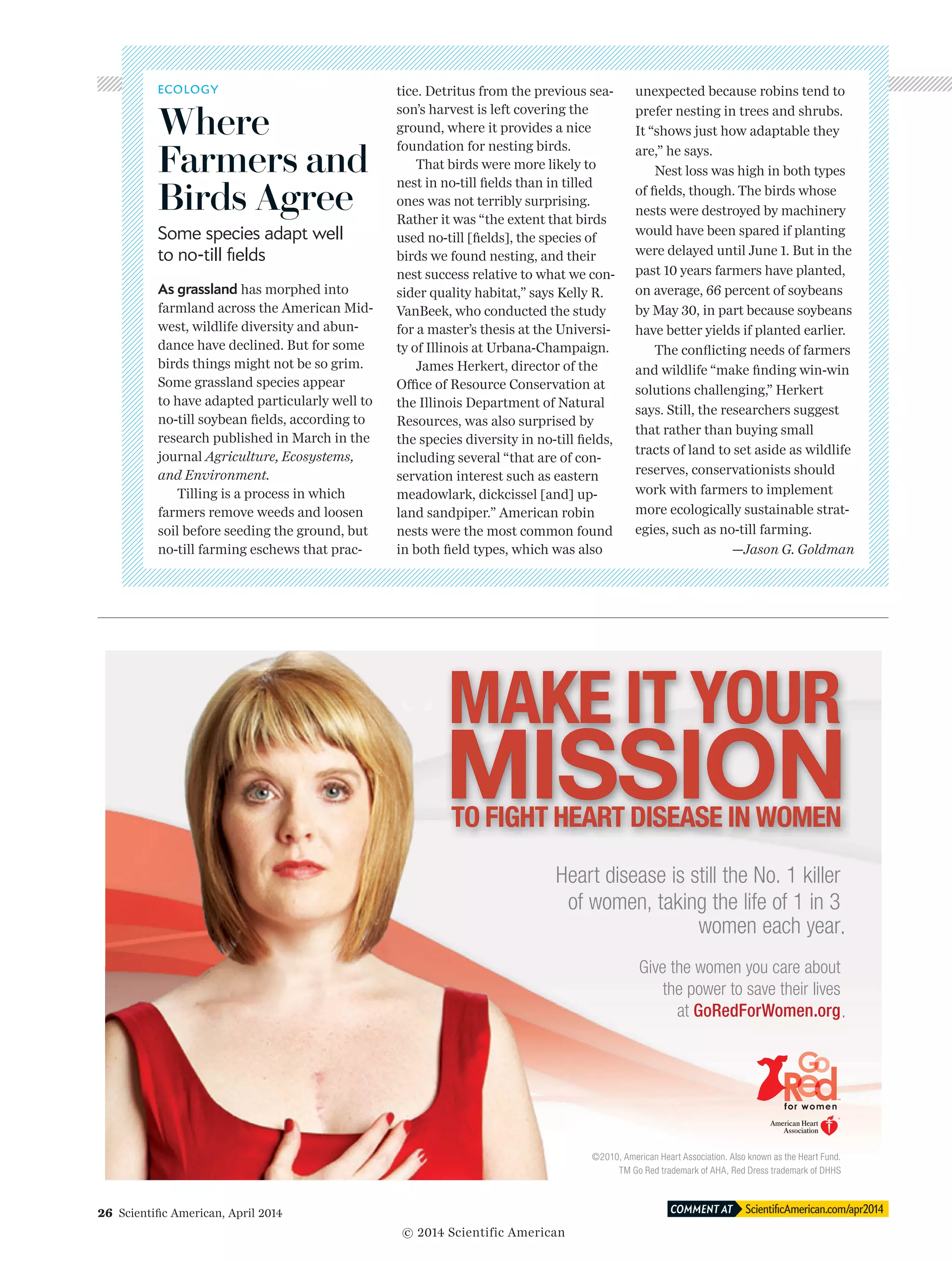 26  Scientific American, April 2014 ScientificAmerican.com/apr2014COMMENT AT
ECOLOGY
Where
Farmers and
Birds Agree
Some species adapt well
to no-till fields
As grassland has morphed into
farmland across the American Mid-
west, wildlife diversity and abun-
dance have declined. But for some
birds things might not be so grim.
Some grassland species appear
to have adapted particularly well to
no-till soybean fields, according to
research published in March in the
journal Agriculture, Ecosystems,
and Environment.
Tilling is a process in which
farmers remove weeds and loosen
soil before seeding the ground, but
no-till farming eschews that prac-
tice. Detritus from the previous sea-
son’s harvest is left covering the
ground, where it provides a nice
foundation for nesting birds.
That birds were more likely to
nest in no-till fields than in tilled
ones was not terribly surprising.
Rather it was “the extent that birds
used no-till [fields], the species of
birds we found nesting, and their
nest success relative to what we con-
sider quality habitat,” says Kelly R.
VanBeek, who conducted the study
for a master’s thesis at the Universi-
ty of Illinois at Urbana-Champaign.
James Herkert, director of the
Of­­fi ce of Resource Conservation at
the Illinois Department of Natural
Resources, was also surprised by
the species diversity in no-till fields,
including several “that are of con-
servation interest such as eastern
meadowlark, dickcissel [and] up­­
land sandpiper.” American robin
nests were the most common found
in both field types, which was also
unexpected because robins tend to
prefer nesting in trees and shrubs.
It “shows just how adaptable they
are,” he says.
Nest loss was high in both types
of fields, though. The birds whose
nests were destroyed by machinery
would have been spared if planting
were delayed until June 1. But in the
past 10 years farmers have planted,
on average, 66 percent of soybeans
by May 30, in part because soybeans
have better yields if planted earlier.
The conflicting needs of farmers
and wildlife “make finding win-win
solutions challenging,” Herkert
says. Still, the researchers suggest
that rather than buying small
tracts of land to set aside as wildlife
re­­serves, conservationists should
work with farmers to implement
more ecologically sustainable strat-
egies, such as no-till farming.
—Jason G. Goldman
© 2014 Scientific American
 