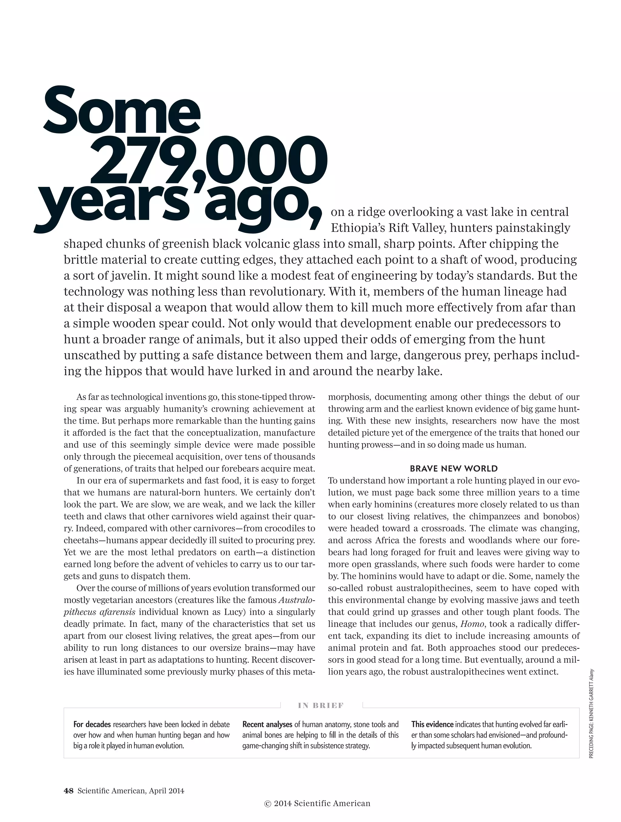 48  Scientific American, April 2014
on a ridge overlooking a vast lake in central
Ethiopia’s Rift Valley, hunters painstakingly
shaped chunks of greenish black volcanic glass into small, sharp points. After chipping the
brittle material to create cutting edges, they attached each point to a shaft of wood, producing
a sort of javelin. It might sound like a modest feat of engineering by today’s standards. But the
technology was nothing less than revolutionary. With it, members of the human lineage had
at their disposal a weapon that would allow them to kill much more effectively from afar than
a simple wooden spear could. Not only would that development enable our predecessors to
hunt a broader range of animals, but it also upped their odds of emerging from the hunt
unscathed by putting a safe distance between them and large, dangerous prey, perhaps includ-
ing the hippos that would have lurked in and around the nearby lake.
As far as technological inventions go, this stone-tipped throw­
ing spear was arguably humanity’s crowning achievement at
the time. But perhaps more remarkable than the hunting gains
it afforded is the fact that the conceptualization, manufacture
and use of this seemingly simple device were made possible
only through the piecemeal acquisition, over tens of thousands
of generations, of traits that helped our forebears acquire meat.
In our era of supermarkets and fast food, it is easy to forget
that we humans are natural-born hunters. We certainly don’t
look the part. We are slow, we are weak, and we lack the killer
teeth and claws that other carnivores wield against their quar-
ry. Indeed, compared with other carnivores—from crocodiles to
cheetahs—humans appear decidedly ill suited to procuring prey.
Yet we are the most lethal predators on earth—a distinction
earned long before the advent of vehicles to carry us to our tar-
gets and guns to dispatch them.
Over the course of millions of years evolution transformed our
mostly vegetarian ancestors (creatures like the famous Australo-
pithecus afarensis individual known as Lucy) into a singularly
deadly primate. In fact, many of the characteristics that set us
apart from our closest living relatives, the great apes—from our
ability to run long distances to our oversize brains—may have
arisen at least in part as adaptations to hunting. Recent discover-
ies have illuminated some previously murky phases of this meta-
morphosis, documenting among other things the debut of our
throwing arm and the earliest known evidence of big game hunt-
ing. With these new insights, researchers now have the most
detailed picture yet of the emergence of the traits that honed our
hunting prowess—and in so doing made us human.
BRAVE NEW WORLD
To understand how important a role hunting played in our evo-
lution, we must page back some three million years to a time
when early hominins (creatures more closely related to us than
to our closest living relatives, the chimpanzees and bonobos)
were headed to­­ward a cross­­roads. The climate was changing,
and across Africa the forests and wood­­lands where our fore-
bears had long foraged for fruit and leaves were giving way to
more open grasslands, where such foods were harder to come
by. The hominins would have to adapt or die. Some, namely the
so-called robust australopithecines, seem to have coped with
this environmental change by evolving massive jaws and teeth
that could grind up grasses and other tough plant foods. The
lineage that in­­cludes our genus, Homo, took a radically differ-
ent tack, expanding its diet to include increasing amounts of
animal protein and fat. Both approaches stood our predeces-
sors in good stead for a long time. But eventually, around a mil-
lion years ago, the robust australopithecines went extinct.
Some
years ago,
279,000
I N B R I E F
For decades researchers have been locked in debate
over how and when human hunting began and how
big a role it played in human evolution.
Recent analyses of human anatomy, stone tools and
animal bones are helping to fill in the details of this
game-changing shift in subsistence strategy.
This evidence indicates that hunting evolved far earli-
er than some scholars had envisioned—and profound-
ly impacted subsequent human evolution.
PRECEDINGPAGE:KENNETHGARRETTAlamy
© 2014 Scientific American
 