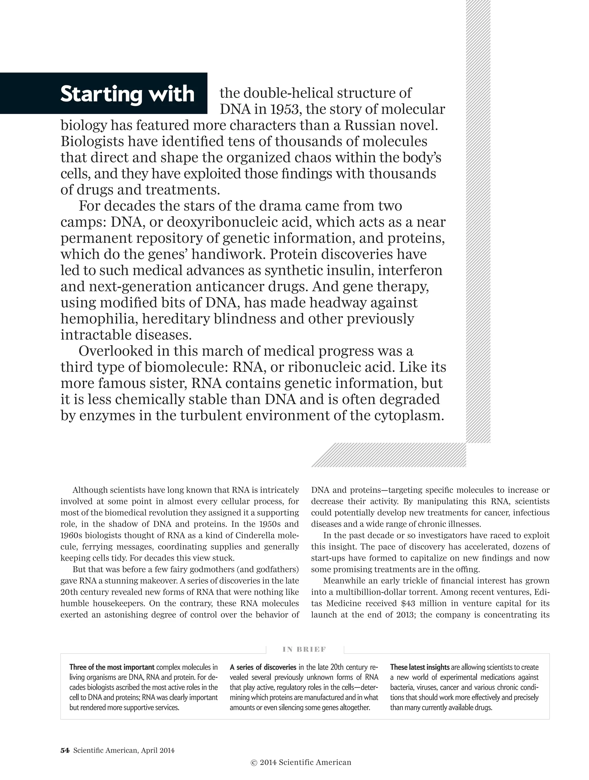 54  Scientific American, April 2014
Although scientists have long known that RNA is intricately
involved at some point in almost every cellular process, for
most of the biomedical revolution they assigned it a supporting
role, in the shadow of DNA and proteins. In the 1950s and
1960s biologists thought of RNA as a kind of Cinderella mole-
cule, ferrying messages, coordinating supplies and generally
keeping cells tidy. For decades this view stuck.
But that was before a few fairy godmothers (and godfathers)
gave RNA a stunning makeover. A series of discoveries in the late
20th century revealed new forms of RNA that were nothing like
humble housekeepers. On the contrary, these RNA molecules
exerted an astonishing degree of control over the behavior of
DNA and proteins—targeting specific molecules to increase or
decrease their activity. By manipulating this RNA, scientists
could potentially develop new treatments for cancer, infectious
diseases and a wide range of chronic illnesses.
In the past decade or so investigators have raced to exploit
this insight. The pace of discovery has accelerated, dozens of
start-ups have formed to capitalize on new findings and now
some promising treatments are in the offing.
Meanwhile an early trickle of financial interest has grown
into a multibillion-dollar torrent. Among recent ventures, Edi-
tas Medicine received $43 million in venture capital for its
launch at the end of 2013; the company is concentrating its
the double-helical structure of
DNA in 1953, the story of molecular
biology has featured more characters than a Russian novel.
Biologists have identified tens of thousands of molecules
that direct and shape the organized chaos within the body’s
cells, and they have exploited those findings with thousands
of drugs and treatments.
For decades the stars of the drama came from two
camps: DNA, or deoxyribonucleic acid, which acts as a near
permanent repository of genetic information, and proteins,
which do the genes’ handiwork. Protein discoveries have
led to such medical advances as synthetic insulin, interferon
and next-generation anticancer drugs. And gene therapy,
using modified bits of DNA, has made headway against
hemophilia, hereditary blindness and other previously
intractable diseases.
Overlooked in this march of medical progress was a
third type of biomolecule: RNA, or ribonucleic acid. Like its
more famous sister, RNA contains genetic information, but
it is less chemically stable than DNA and is often degraded
by enzymes in the turbulent environment of the cytoplasm.
I N B R I E F
Three of the most important complex molecules in
living organisms are DNA, RNA and protein. For de-
cades biologists ascribed the most active roles in the
cell to DNA and proteins; RNA was clearly important
but rendered more supportive services.
A series of discoveries in the late 20th century re-
vealed several previously unknown forms of RNA
that play active, regulatory roles in the cells—deter-
mining which proteins are manufactured and in what
amounts or even silencing some genes altogether.
These latest insights are allowing scientists to create
a new world of experimental medications against
bacteria, viruses, cancer and various chronic condi-
tions that should work more effectively and precisely
than many currently available drugs.
Starting with
© 2014 Scientific American
 