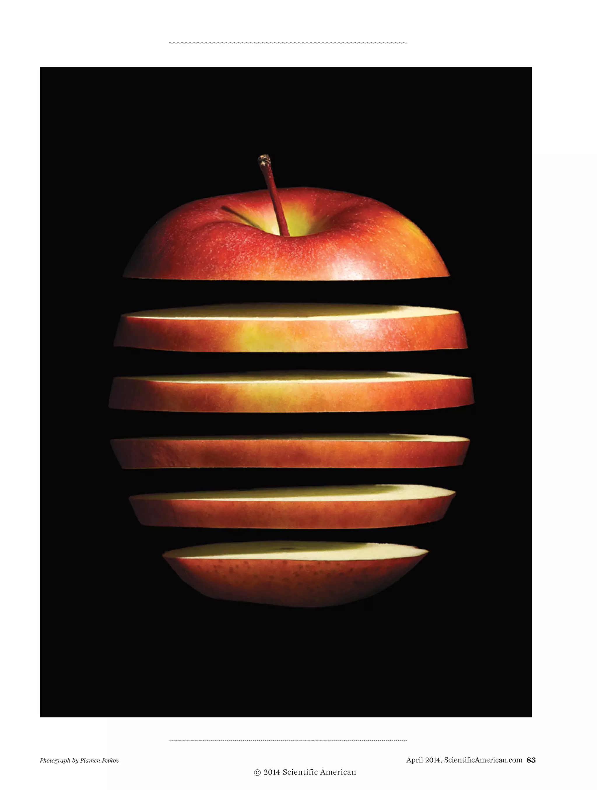 April 2014, ScientificAmerican.com 83Photograph by Plamen Petkov 
© 2014 Scientific American
 