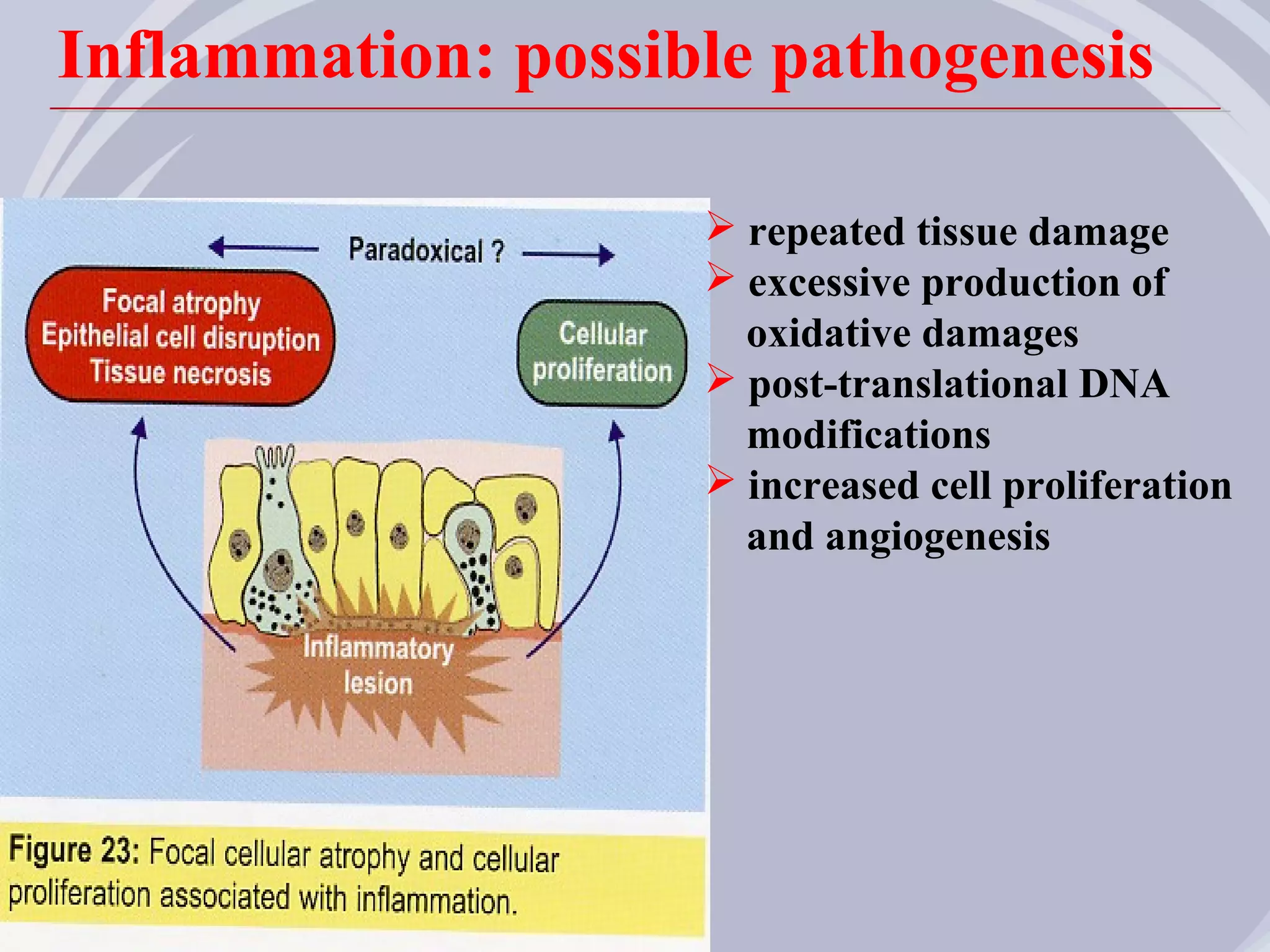 Inflammation: possible pathogenesis

                     repeated tissue damage
                     excessive production of
                      oxidative damages
                     post-translational DNA
                      modifications
                     increased cell proliferation
                      and angiogenesis
 