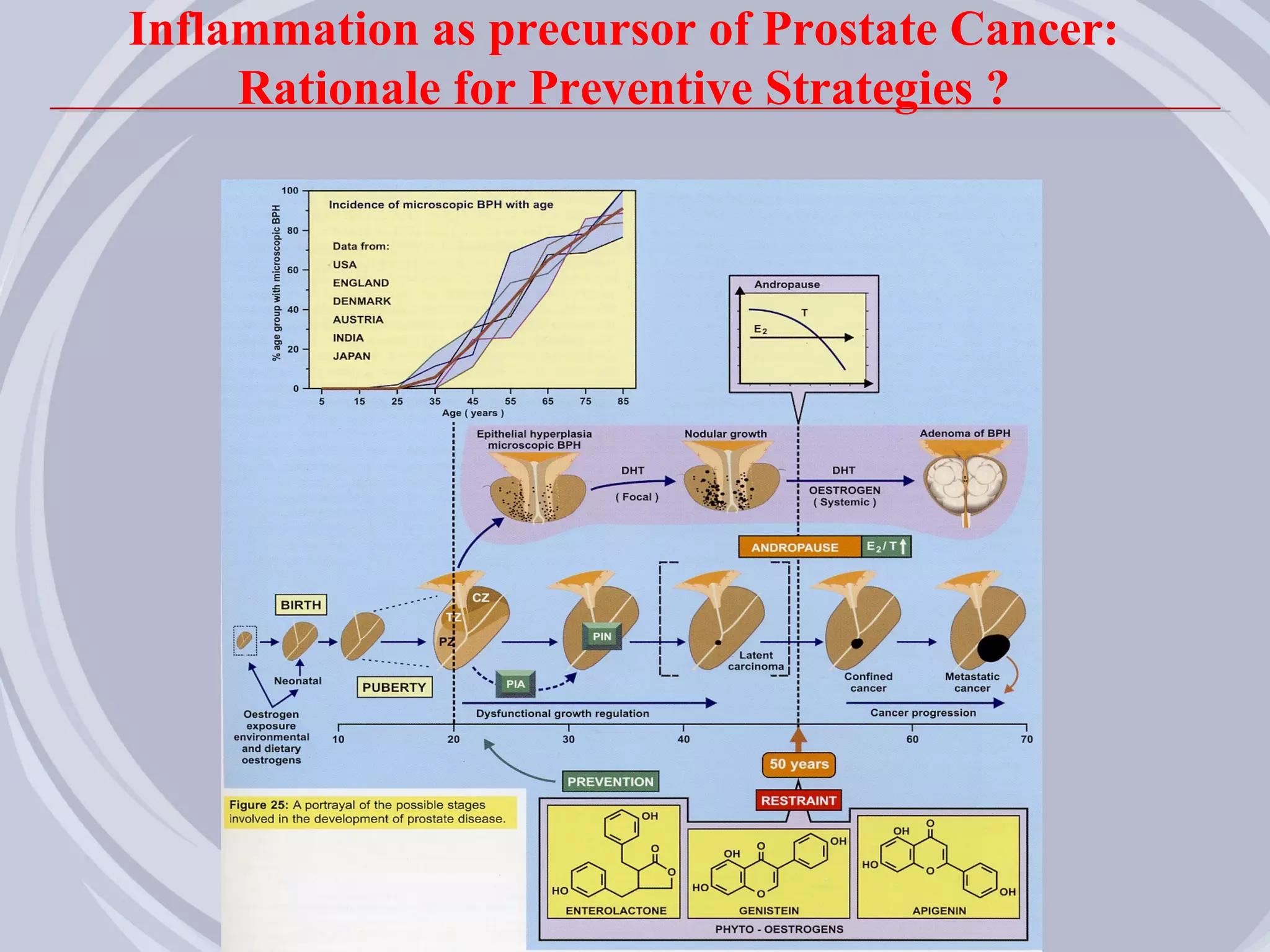Inflammation as precursor of Prostate Cancer:
     Rationale for Preventive Strategies ?
 