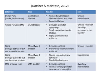 SCI_associated_conditions_Neurogenic_bladder_bowel_sexual_and.pptx