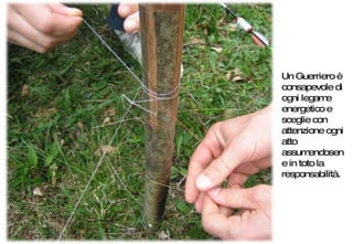 Un Guerriero è consapevole di ogni legame energetico e sceglie con attenzione ogni atto assumendosene in toto la responsabilità. 