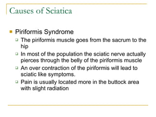 Causes of Sciatica Piriformis Syndrome The piriformis muscle goes from the sacrum to the hip In most of the population the sciatic nerve actually pierces through the belly of the piriformis muscle An over contraction of the piriformis will lead to sciatic like symptoms.  Pain is usually located more in the buttock area with slight radiation 