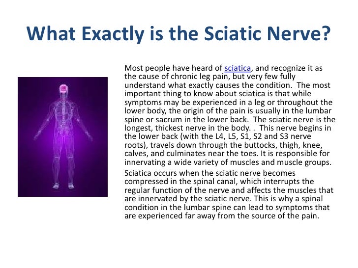 Understanding the Causes, Symptoms, and Treatments for Sciatica